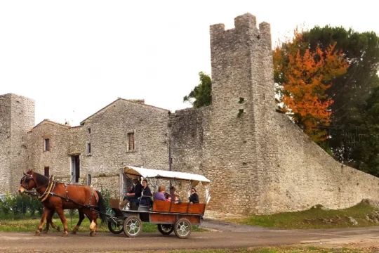 A wonderful ride on a carriage