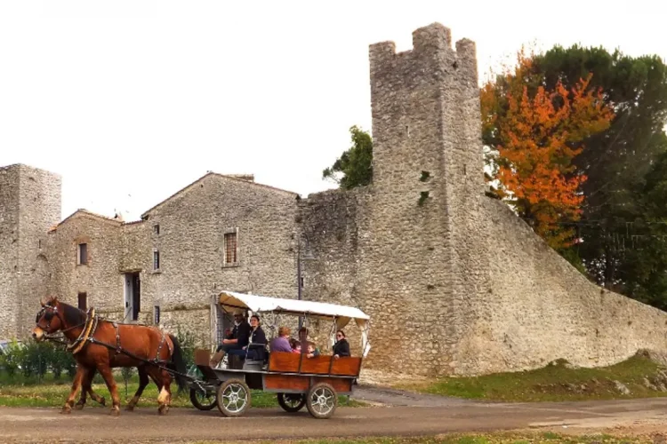 A wonderful ride on a carriage