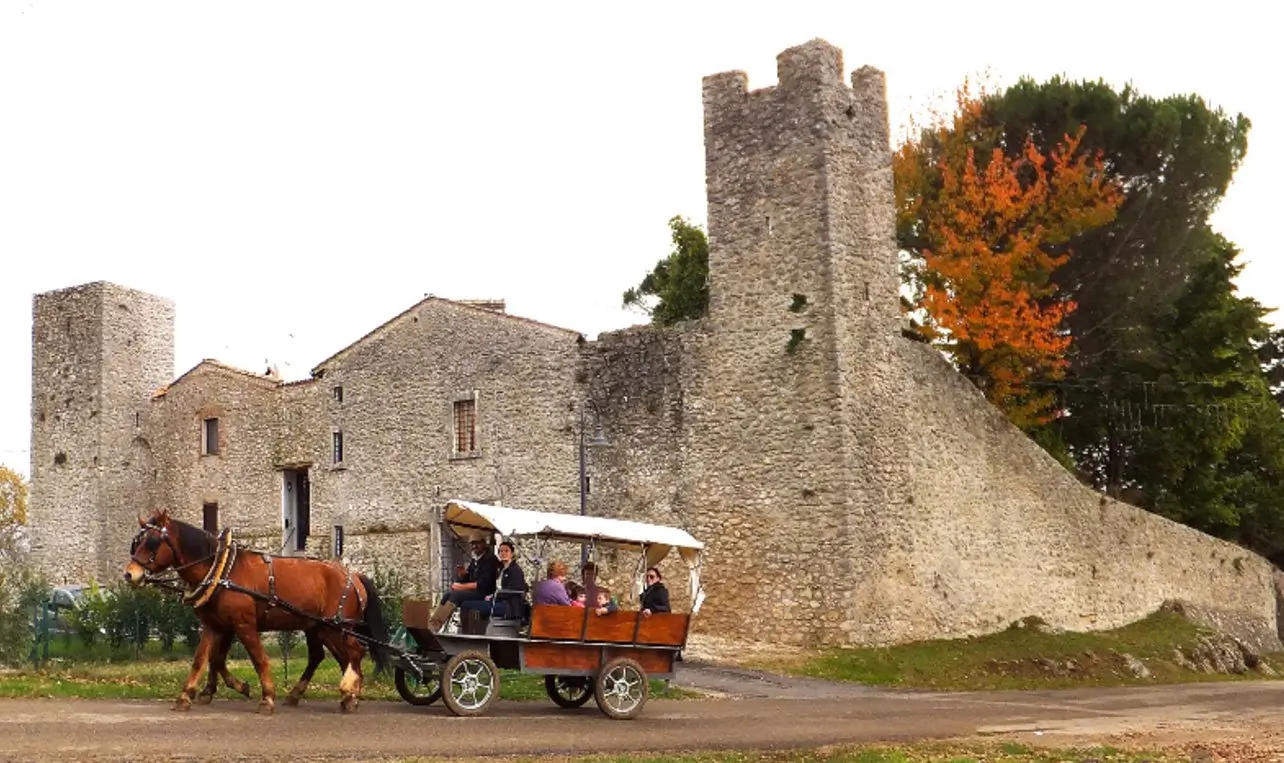 A wonderful ride on a carriage