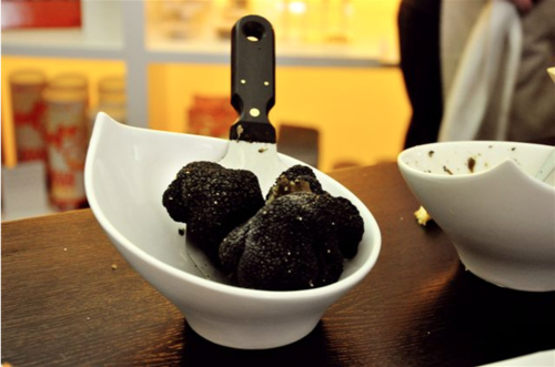 Truffle in Umbria