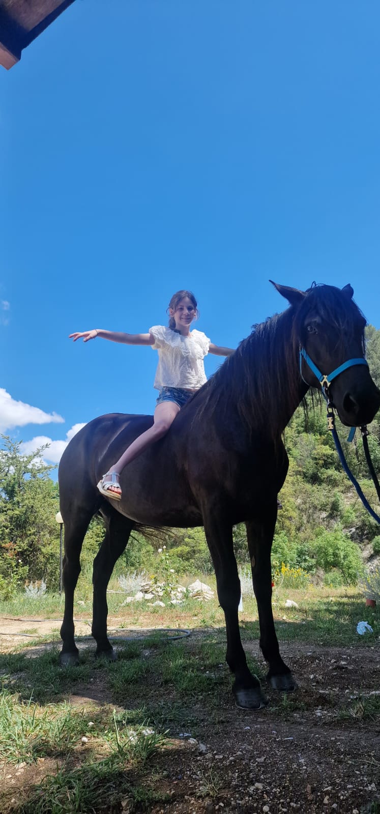 Little girls love horseback riding !!!